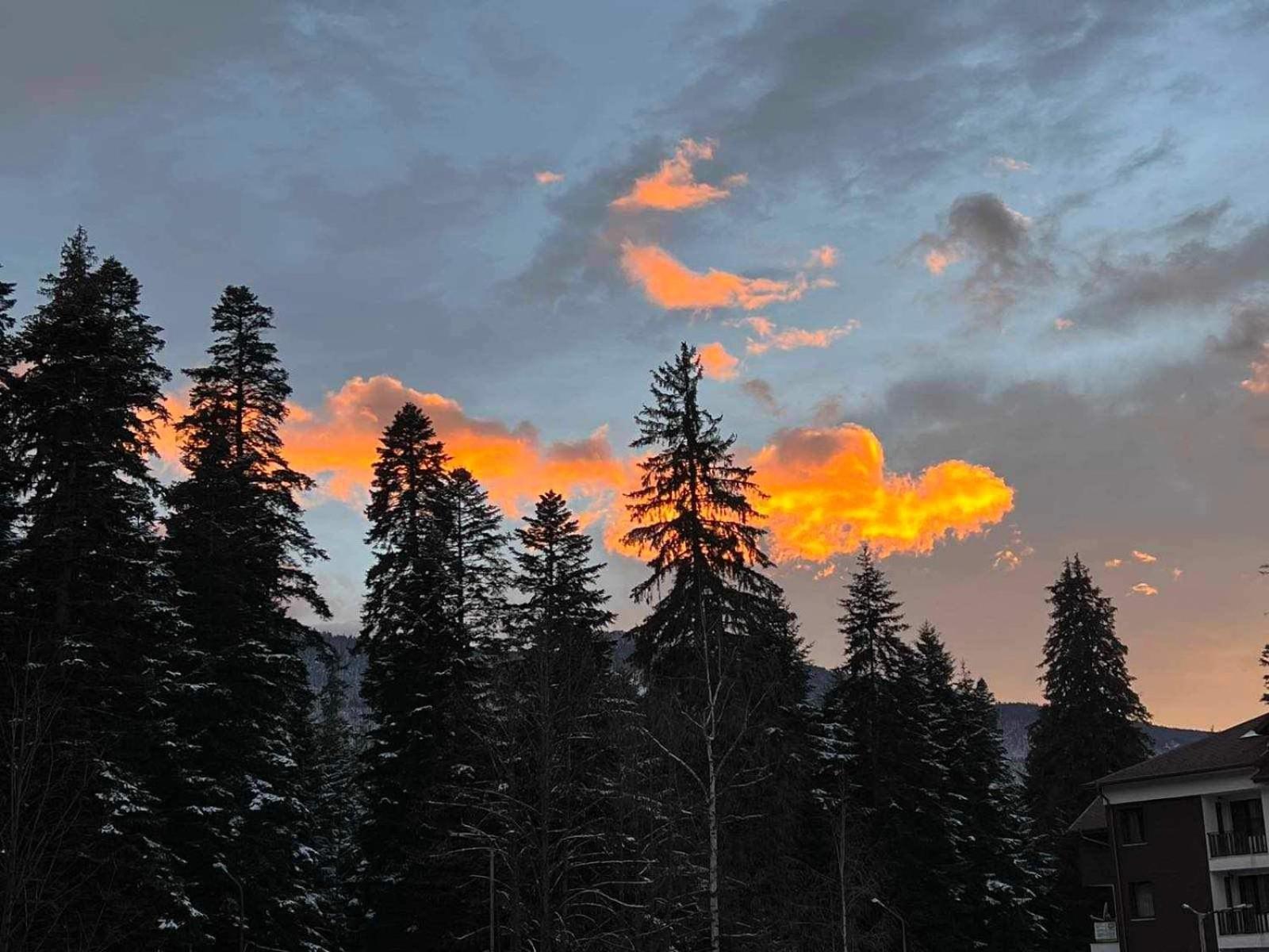 Appartamento Arboro Royal Plaza Borovets Esterno foto