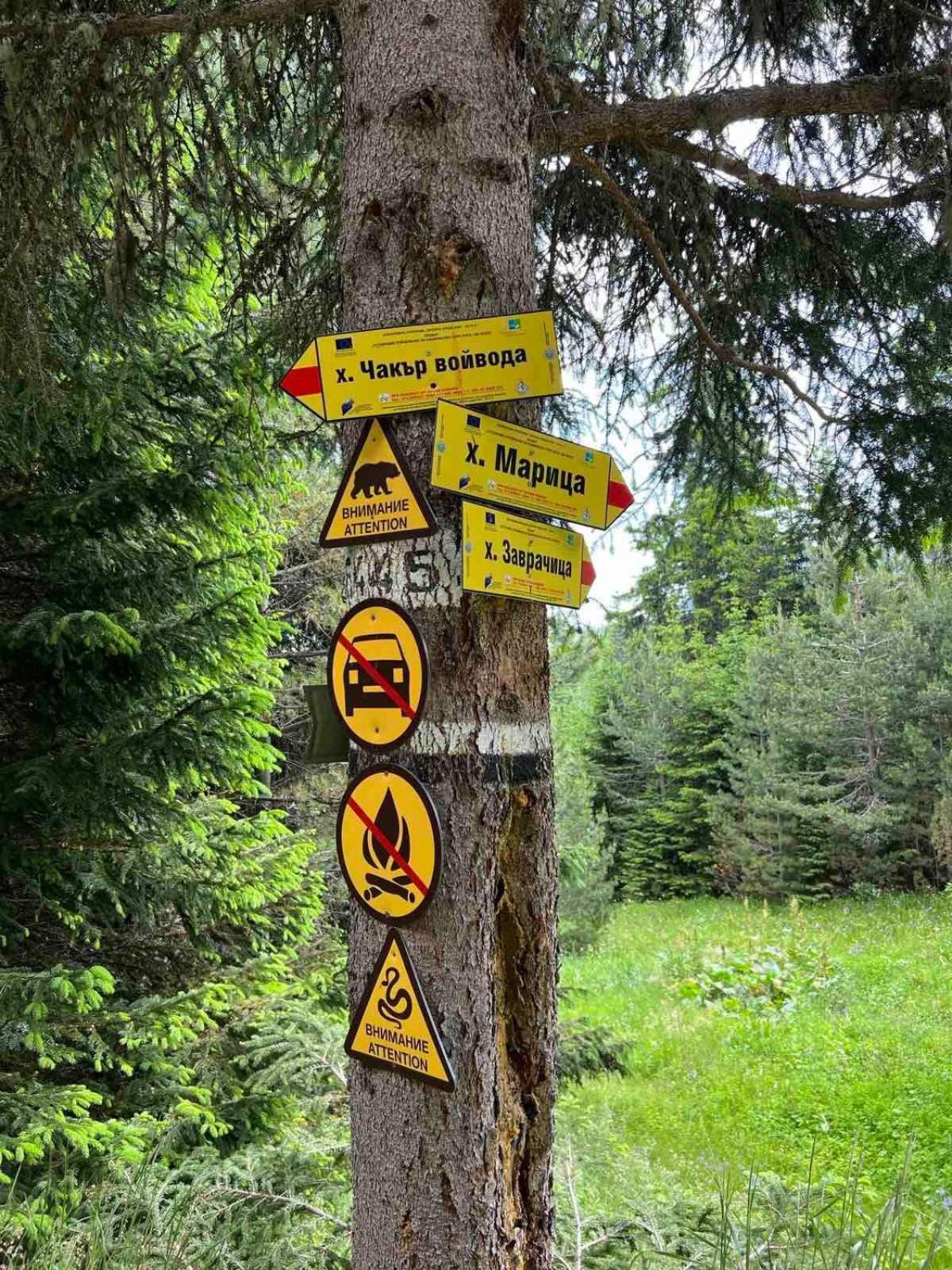 Appartamento Arboro Royal Plaza Borovets Esterno foto