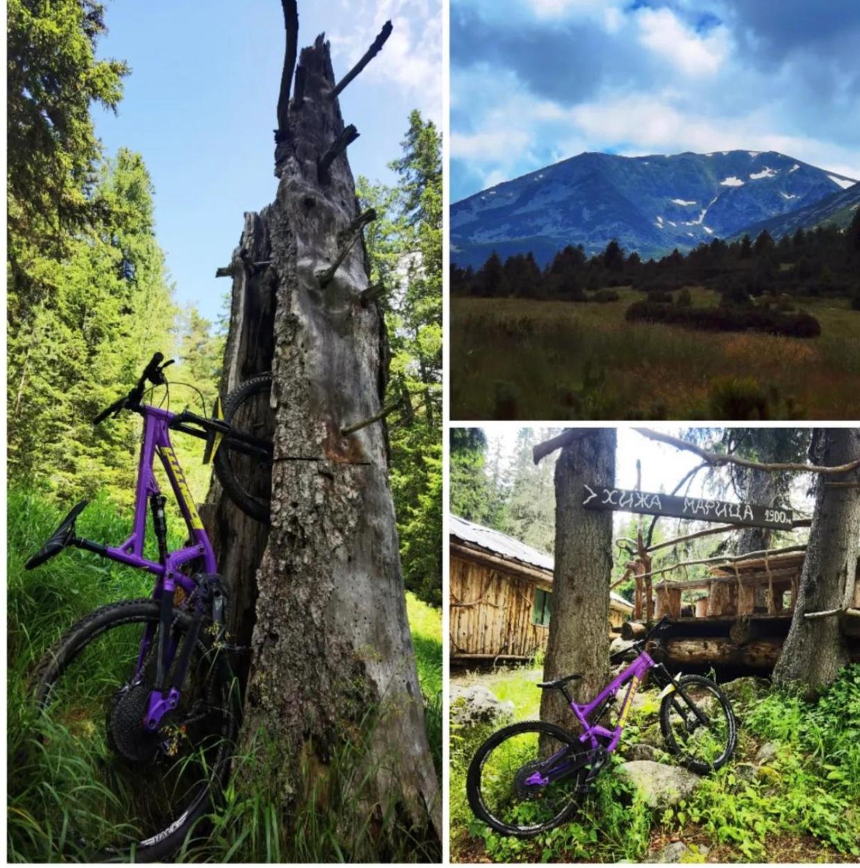 Appartamento Arboro Royal Plaza Borovets Esterno foto