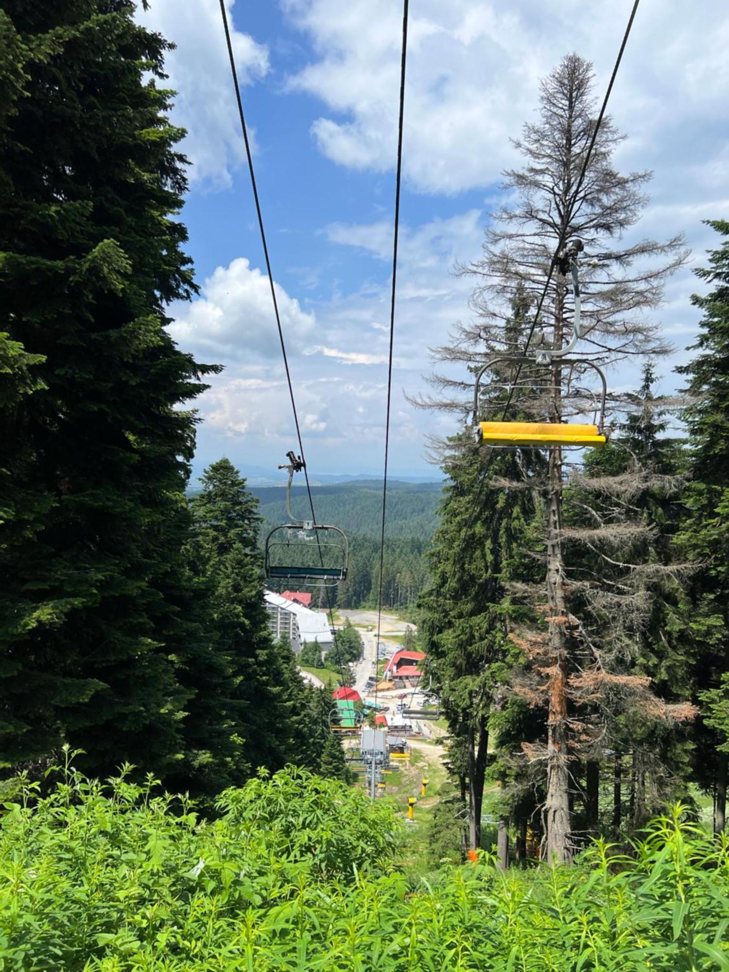 Appartamento Arboro Royal Plaza Borovets Esterno foto